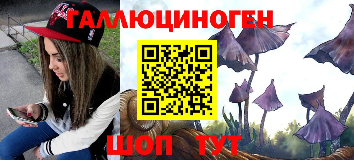 Псилоцибиновые грибы MAGIC MUSHROOMS Артёмовский