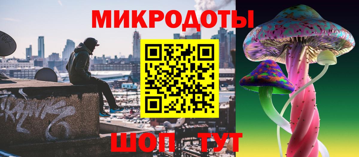 Артёмовский  Галлюциногенные грибы мухоморы  Галлюциногенные грибы Psilocybe  что такое   Вход с VPN 